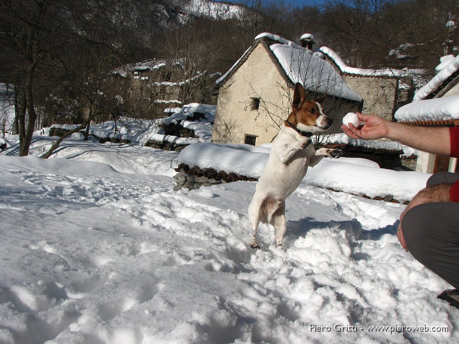 15 Teddy e la palla di neve.jpg